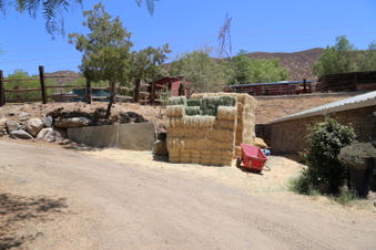 Enlarge photo 91