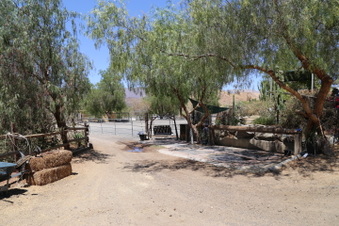 Enlarge photo 111