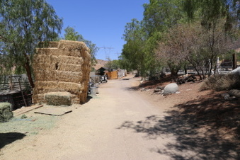 Enlarge photo 115