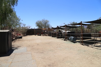 Enlarge photo 116