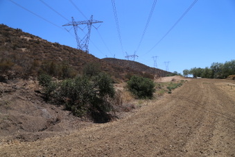 Enlarge photo 127