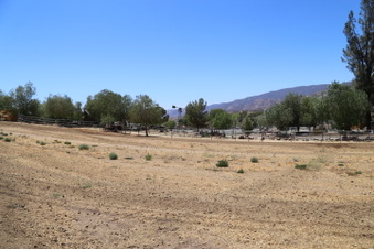 Enlarge photo 129
