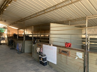 Enlarge photo 102