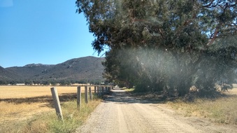 Enlarge photo 2
