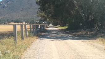 Greenfield Ranch