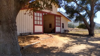 Enlarge photo 19