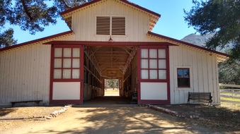 Enlarge photo 18