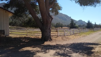 Enlarge photo 20