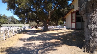 Enlarge photo 24