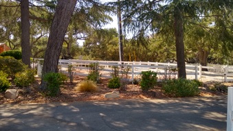 Enlarge photo 5