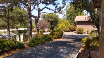 Enlarge photo 19