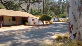 Enlarge photo 4