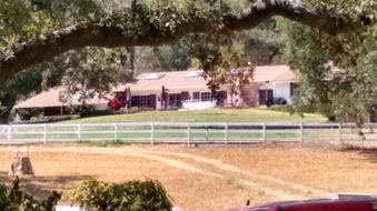 Enlarge photo 7