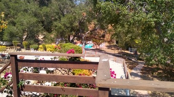 Enlarge photo 38
