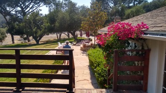 Enlarge photo 42