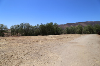 Enlarge photo 68