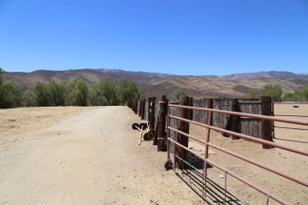 Enlarge photo 69