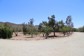 Enlarge photo 77