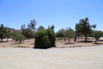 Enlarge photo 29