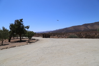 Enlarge photo 30