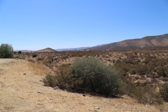 Enlarge photo 79