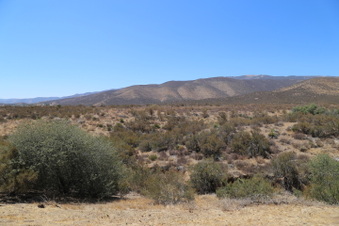 Enlarge photo 80