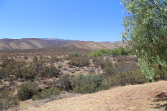 Enlarge photo 81