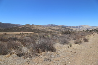 Enlarge photo 83