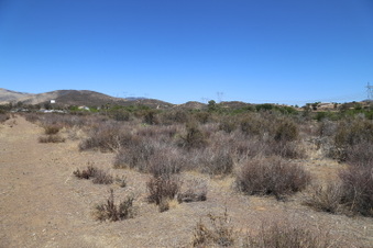 Enlarge photo 85