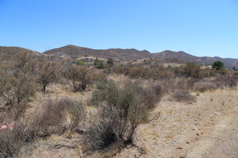 Enlarge photo 87