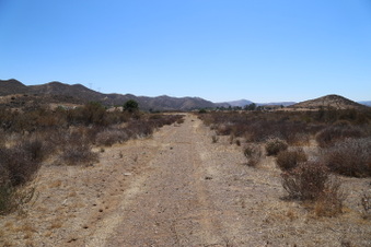 Enlarge photo 88