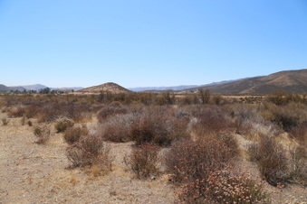 Enlarge photo 89