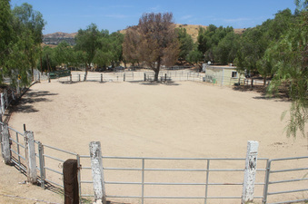 LL Ranch / Joy Ranch