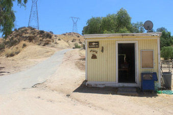 Enlarge photo 10