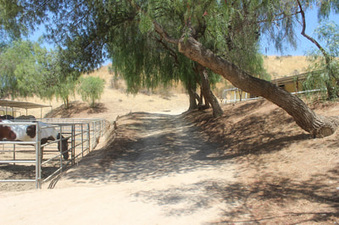 Enlarge photo 13