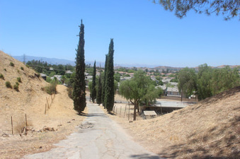 Enlarge photo 14
