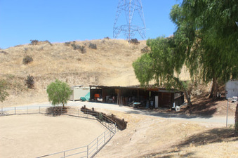 Enlarge photo 20