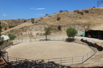 Enlarge photo 24