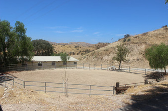 Enlarge photo 25