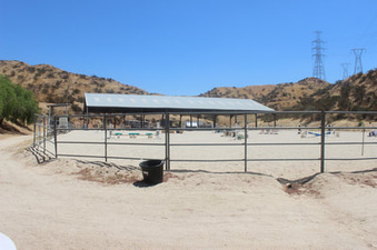 Enlarge photo 31