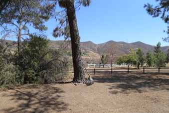 Enlarge photo 5