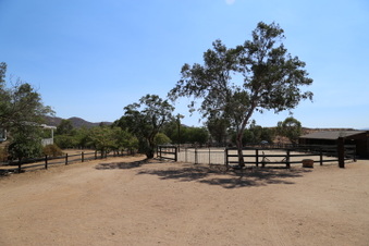 Enlarge photo 53