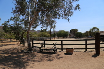 Enlarge photo 67