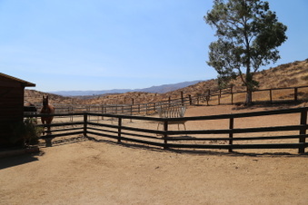 Enlarge photo 81