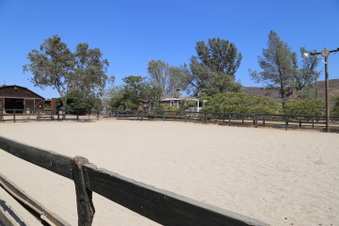 Enlarge photo 84