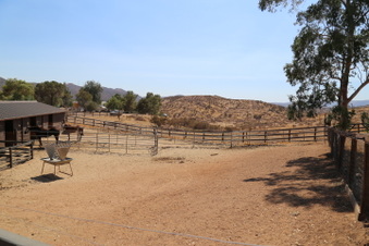 Enlarge photo 90