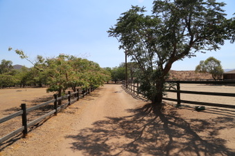 Enlarge photo 92