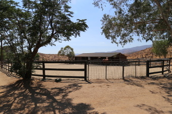 Enlarge photo 93