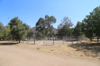 Enlarge photo 102