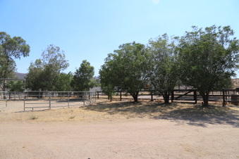 Enlarge photo 103
